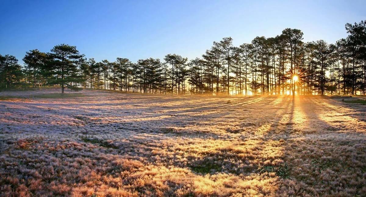 Lý Do Khi Đến Đà Lạt Cuối Năm Trải Nghiệm Thú Vị Giữa Không Gian Huyền Ảo