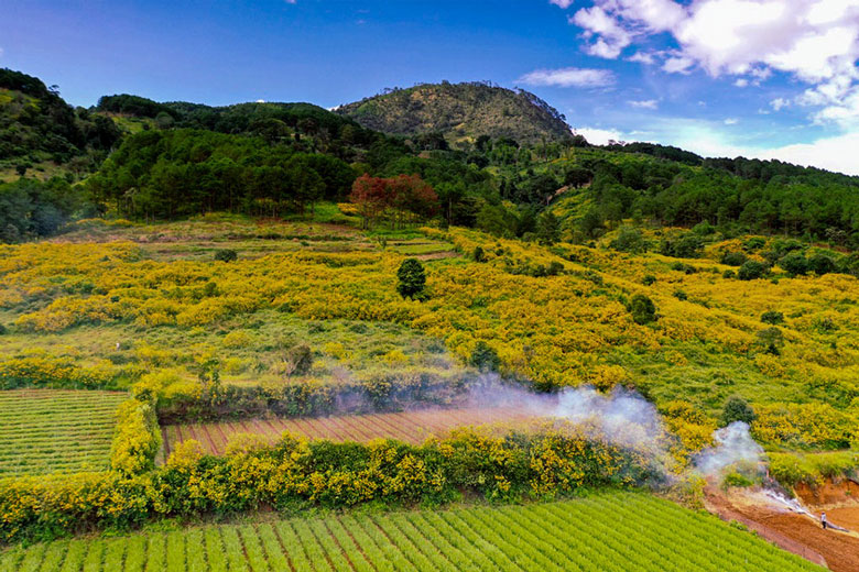 Đà Lạt tháng 10 Trải nghiệm tuyệt vời trong mùa thu