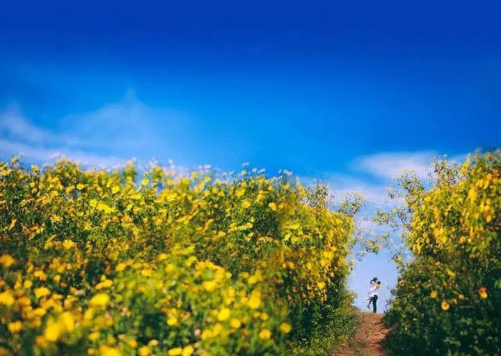 Đà Lạt tháng 10 Trải nghiệm tuyệt vời trong mùa thu