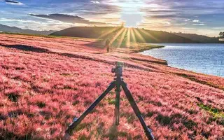 Đà Lạt tháng 10 Trải nghiệm tuyệt vời trong mùa thu