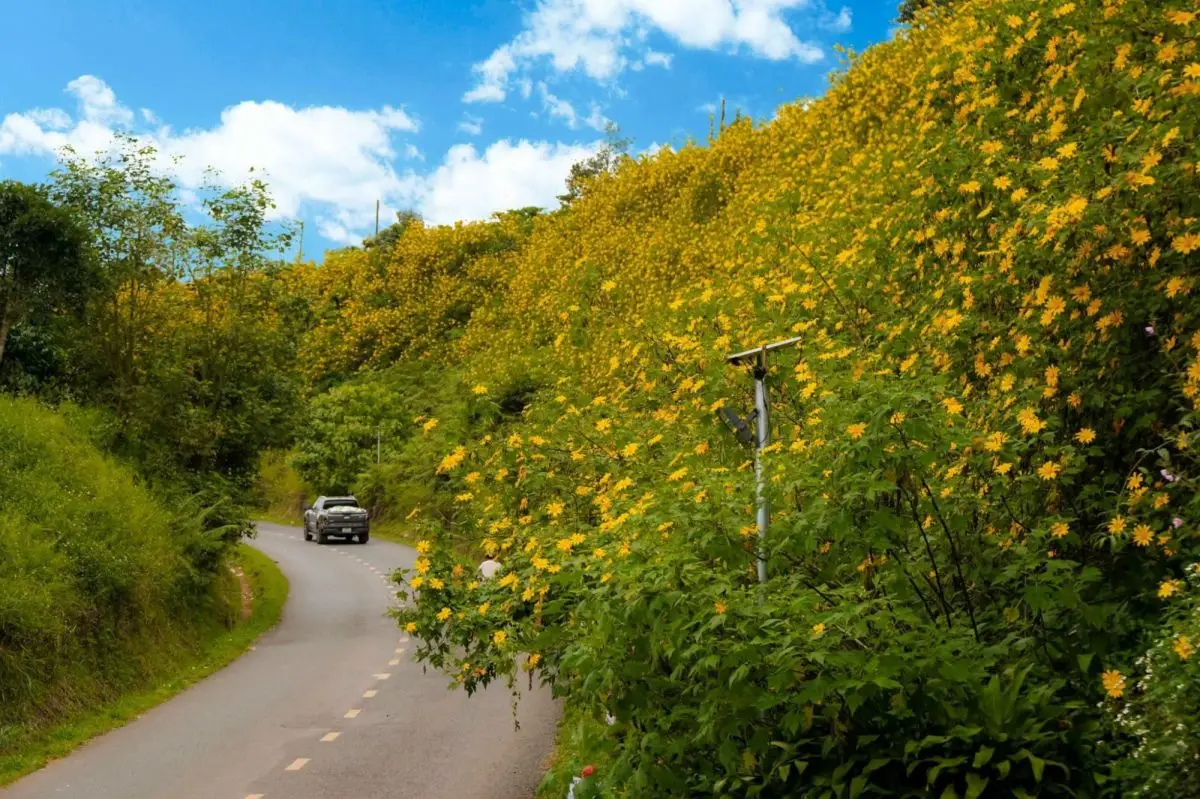 Đà Lạt tháng 10 Trải nghiệm tuyệt vời trong mùa thu