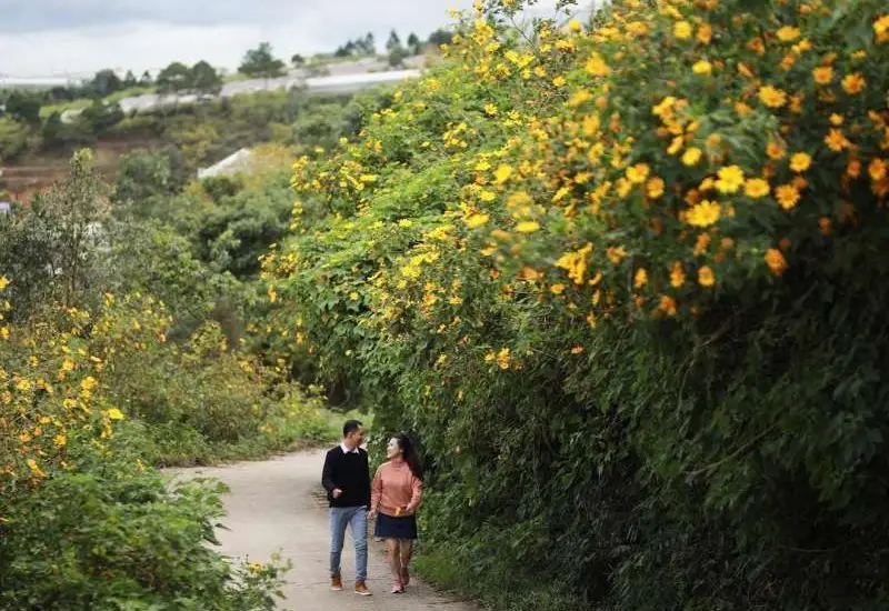 Đà Lạt tháng 10 Trải nghiệm tuyệt vời trong mùa thu