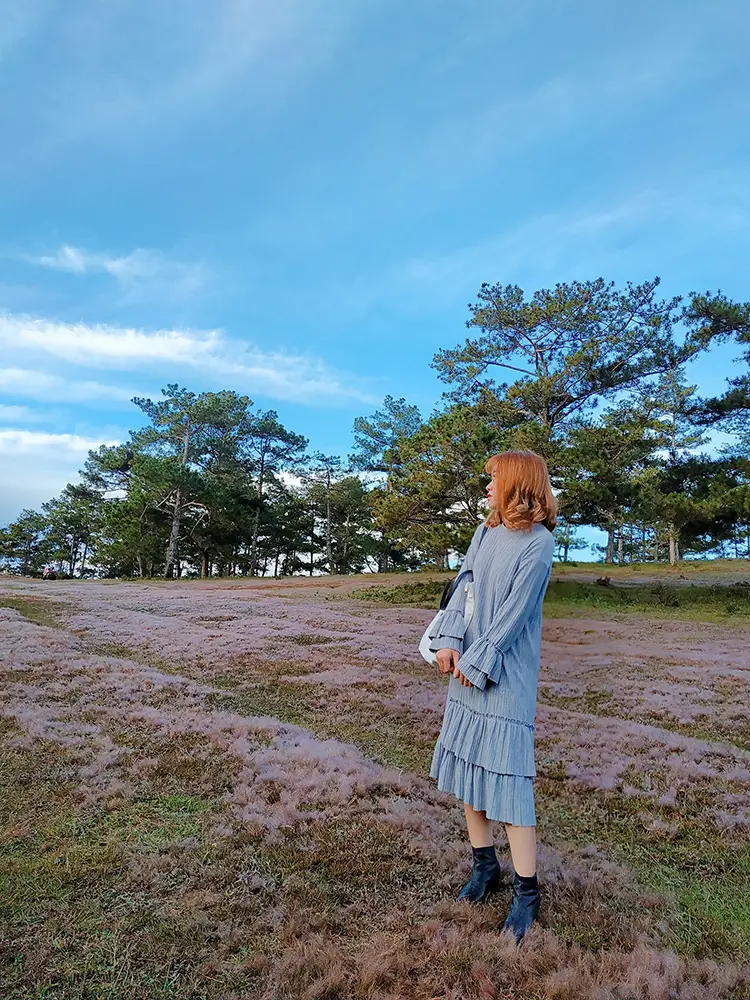 Đà Lạt tháng 10 Trải nghiệm tuyệt vời trong mùa thu