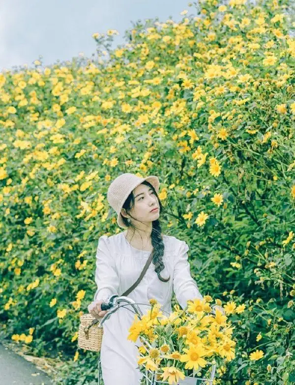 Đà Lạt tháng 10 Trải nghiệm tuyệt vời trong mùa thu