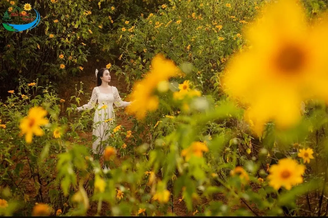 Đà Lạt tháng 10 Trải nghiệm tuyệt vời trong mùa thu