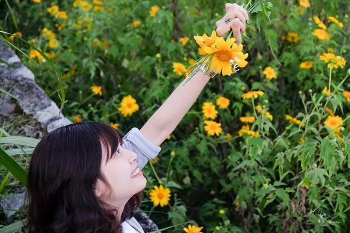 Đà Lạt tháng 10 Trải nghiệm tuyệt vời trong mùa thu