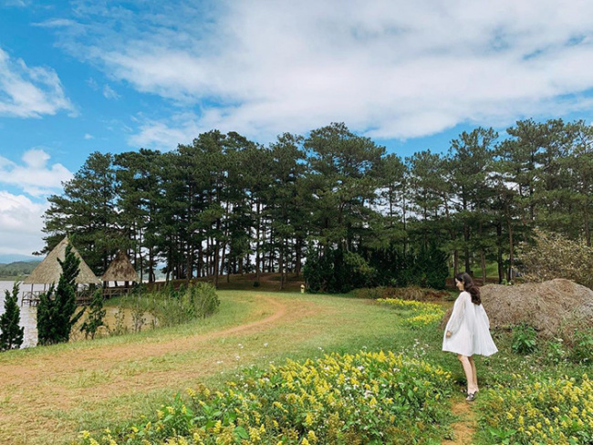 Đà Lạt tháng 10 Trải nghiệm tuyệt vời trong mùa thu