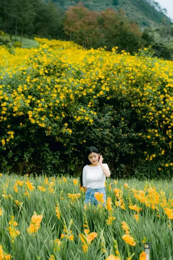 Đà Lạt tháng 10 Trải nghiệm tuyệt vời trong mùa thu