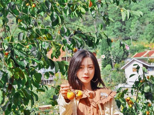 Đà Lạt vào mùa hồng - Trải nghiệm những quán Cafe có vườn hồng tại Đà Lạt