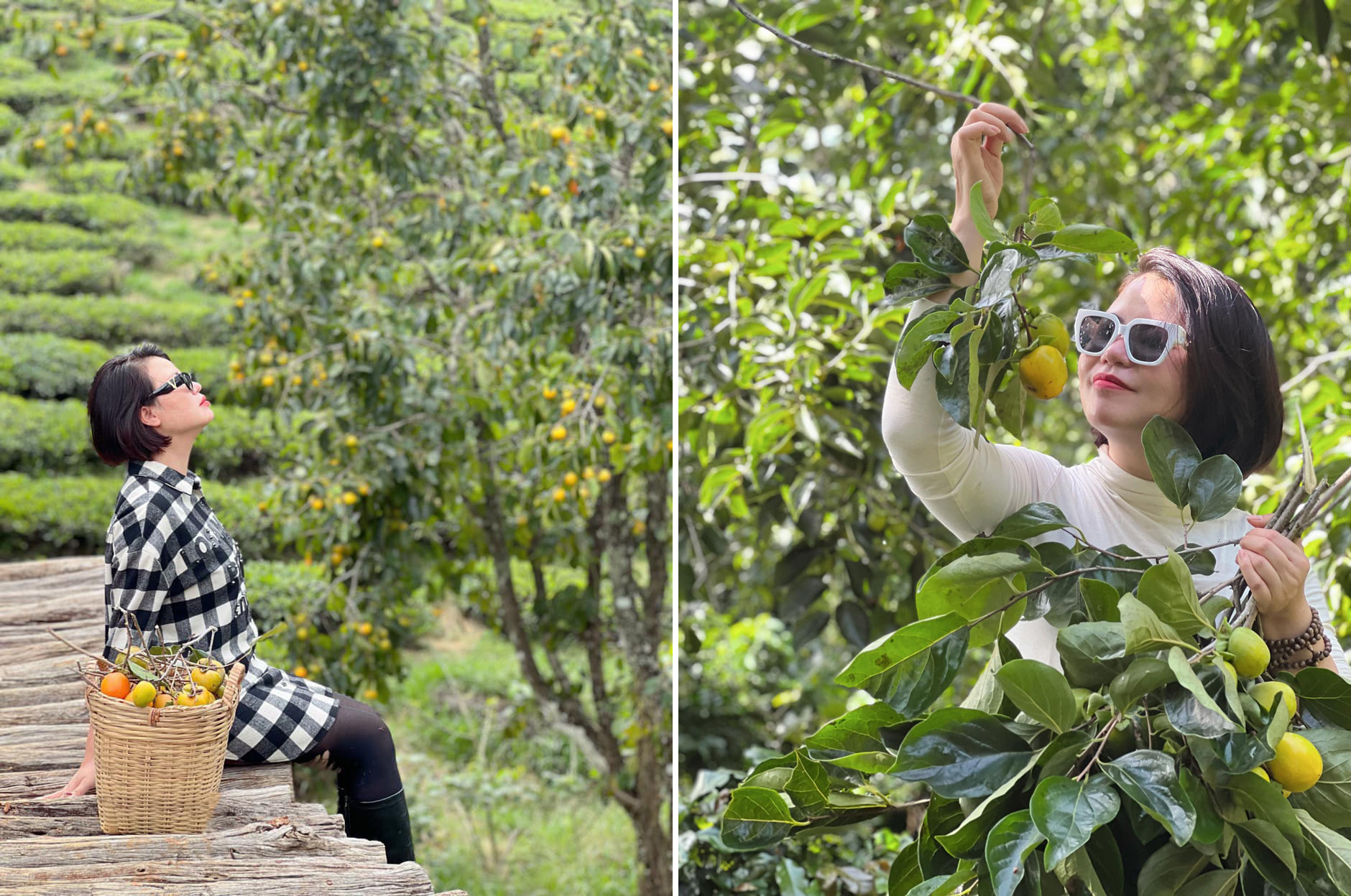 Đà Lạt vào mùa hồng - Trải nghiệm những quán Cafe có vườn hồng tại Đà Lạt