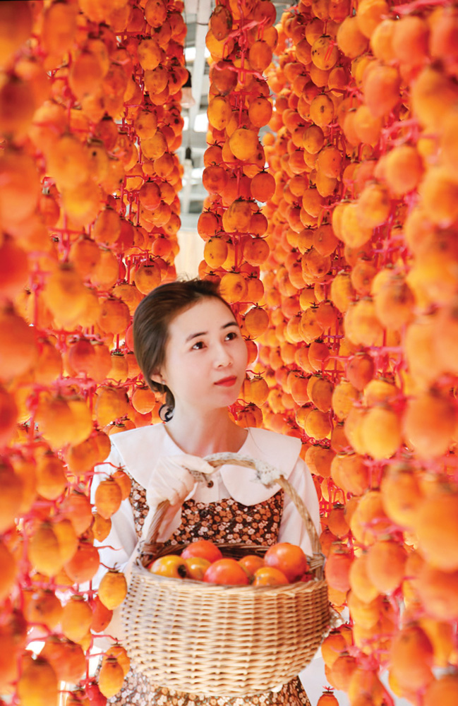 Đà Lạt vào mùa hồng - Trải nghiệm những quán Cafe có vườn hồng tại Đà Lạt