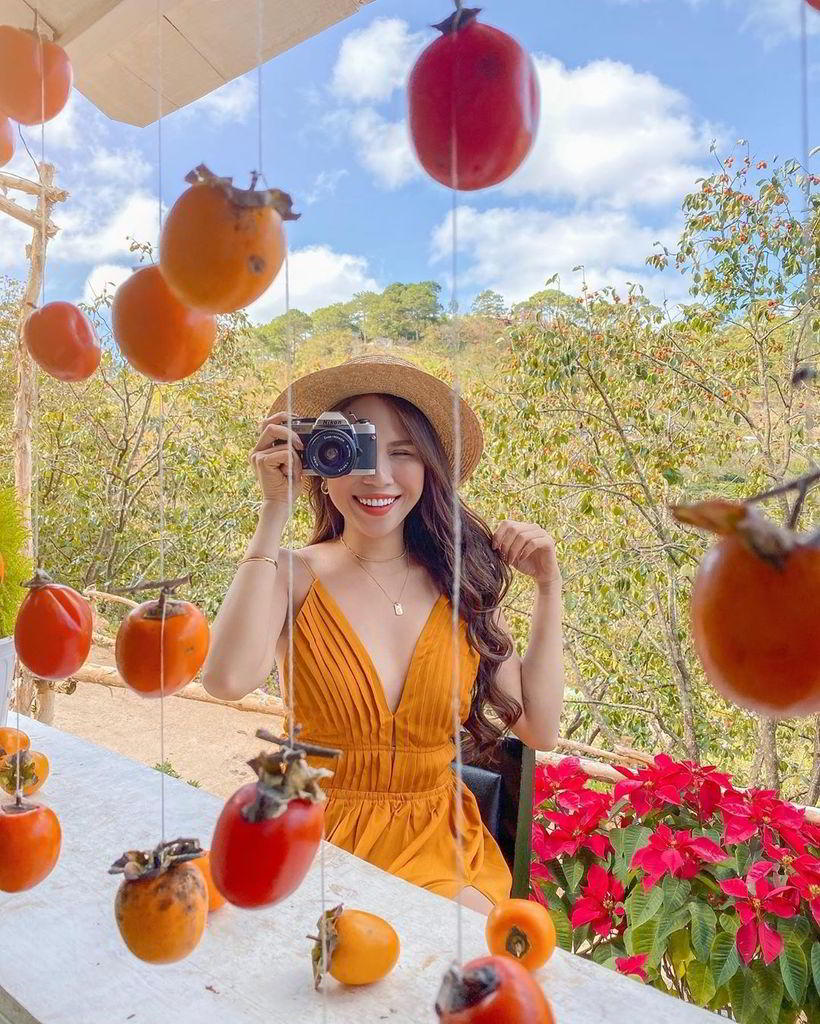 Đà Lạt vào mùa hồng - Trải nghiệm những quán Cafe có vườn hồng tại Đà Lạt