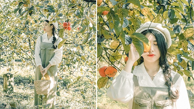 Đà Lạt vào mùa hồng - Trải nghiệm những quán Cafe có vườn hồng tại Đà Lạt