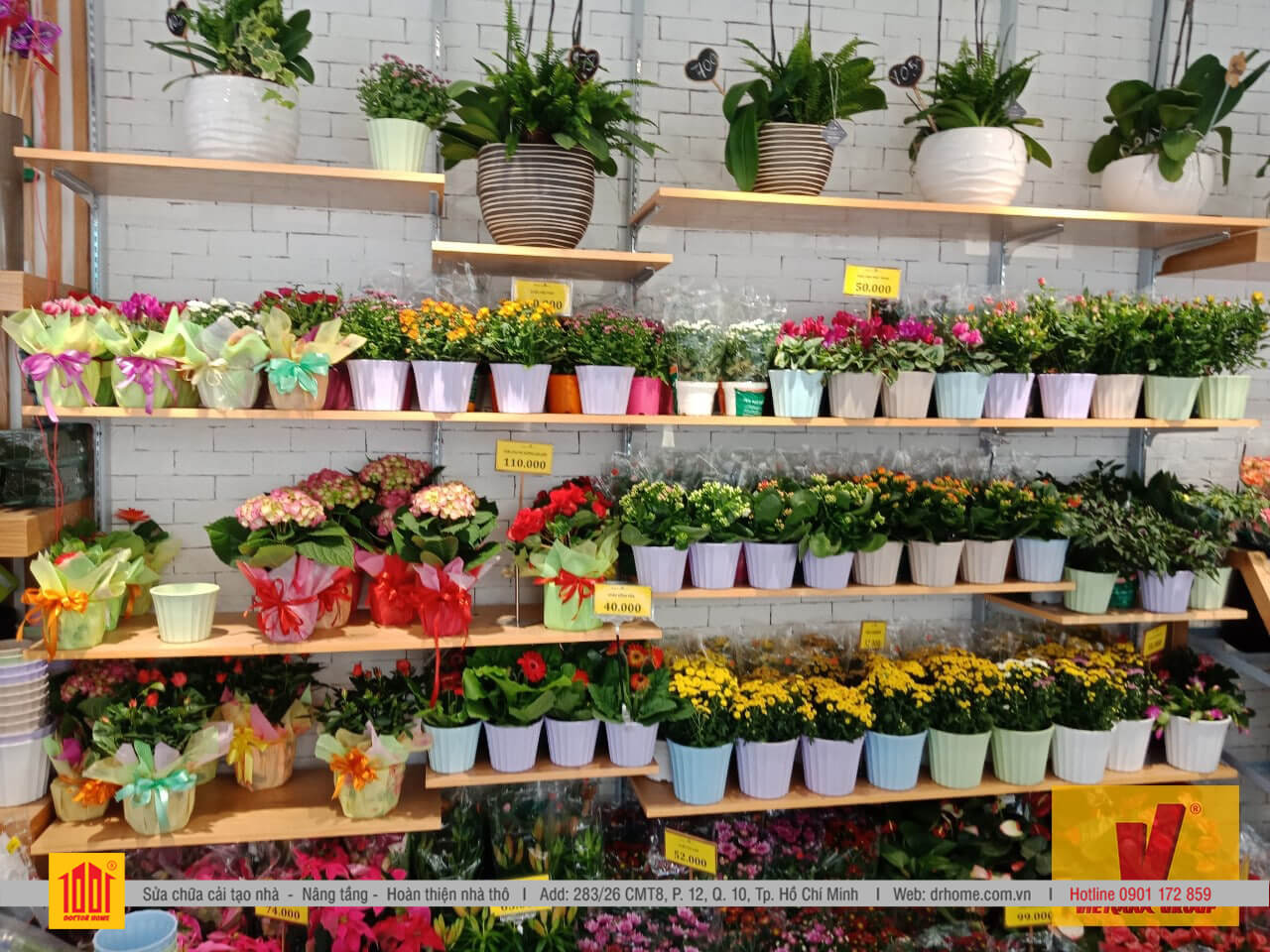 Đặc sản Đà Lạt Top 10 món quà tặng người thân khi du lịch