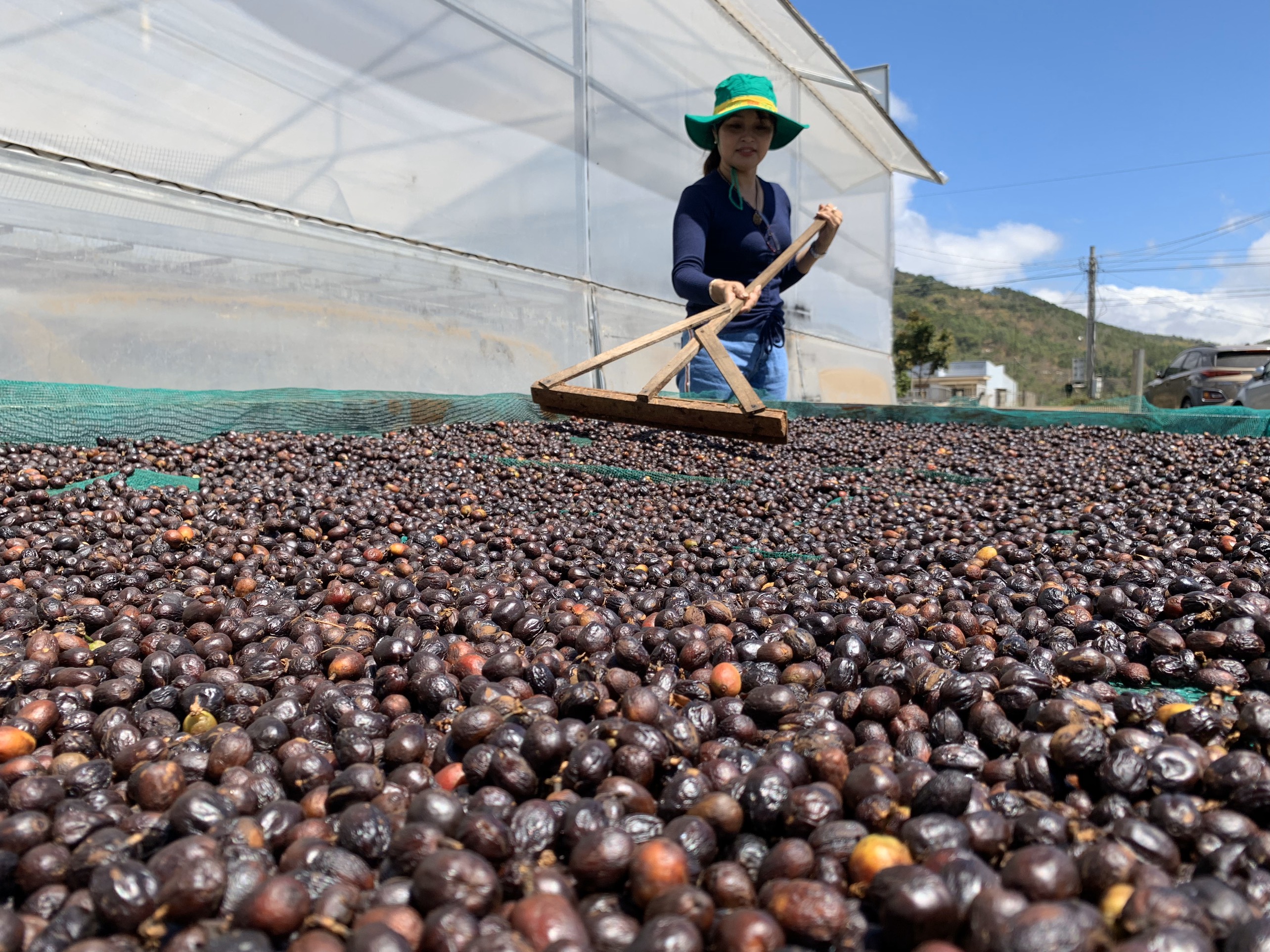 Đặc sản Đà Lạt Top 10 món quà tặng người thân khi du lịch