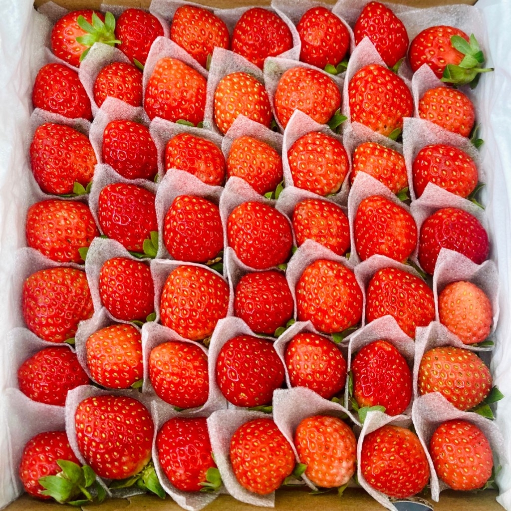 Đặc sản Đà Lạt Top 10 món quà tặng người thân khi du lịch