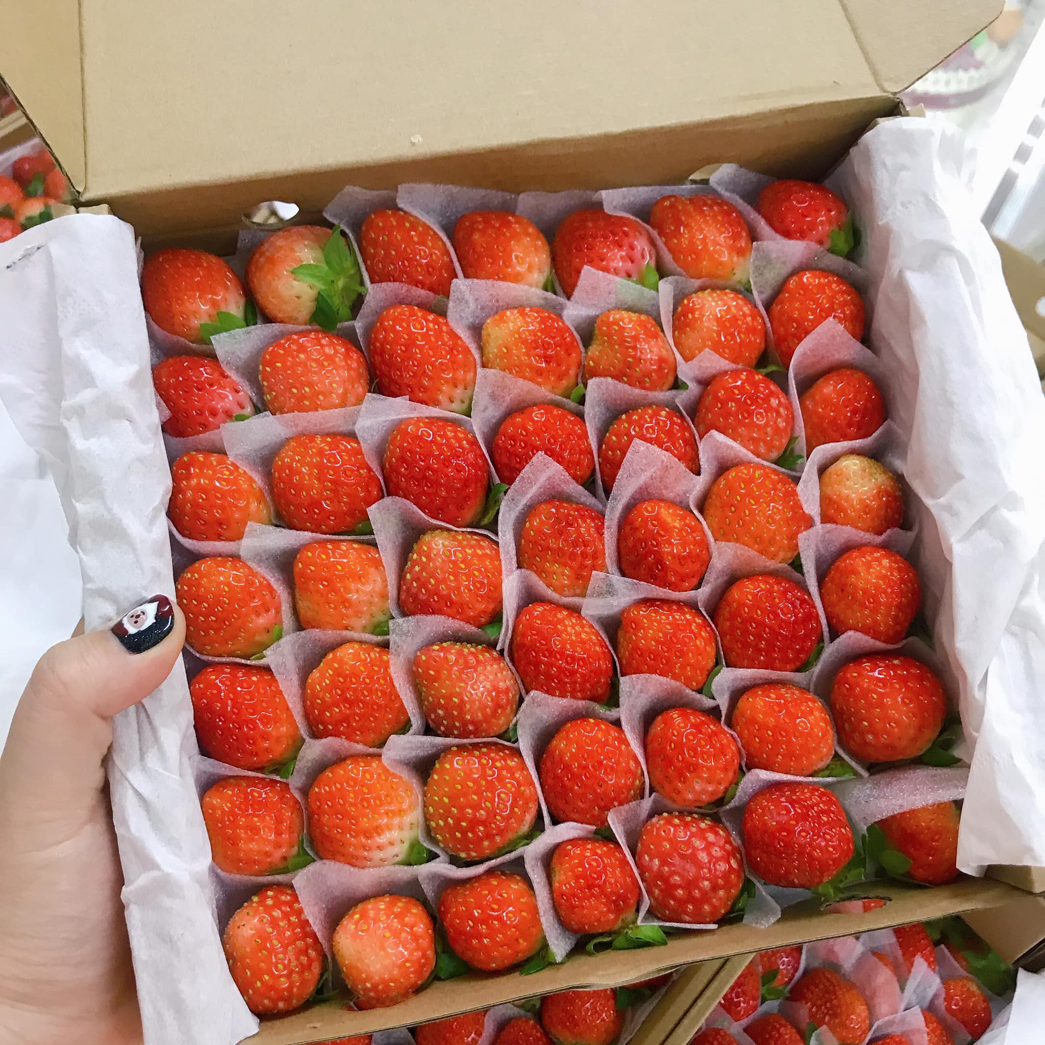 Đặc sản Đà Lạt Top 10 món quà tặng người thân khi du lịch