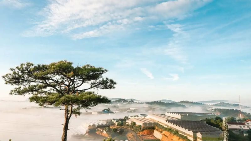 Du lịch Đà Lạt 2024