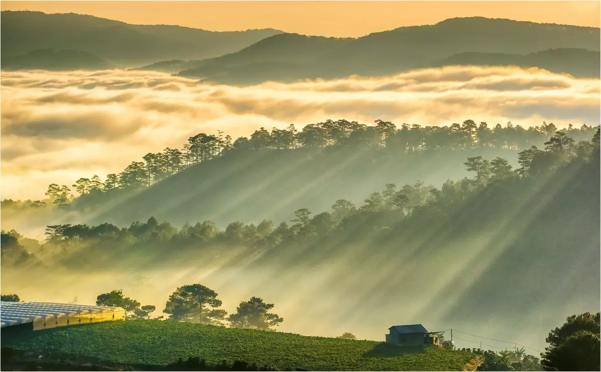 Du lịch Đà Lạt 2024