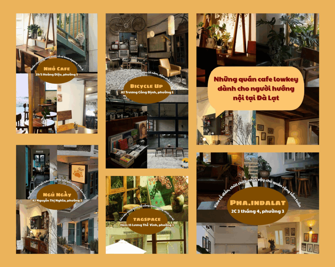 Review 7 Quán Cafe Lowkey Đà Lạt: Tìm Góc Riêng Cho Người Hướng Nội