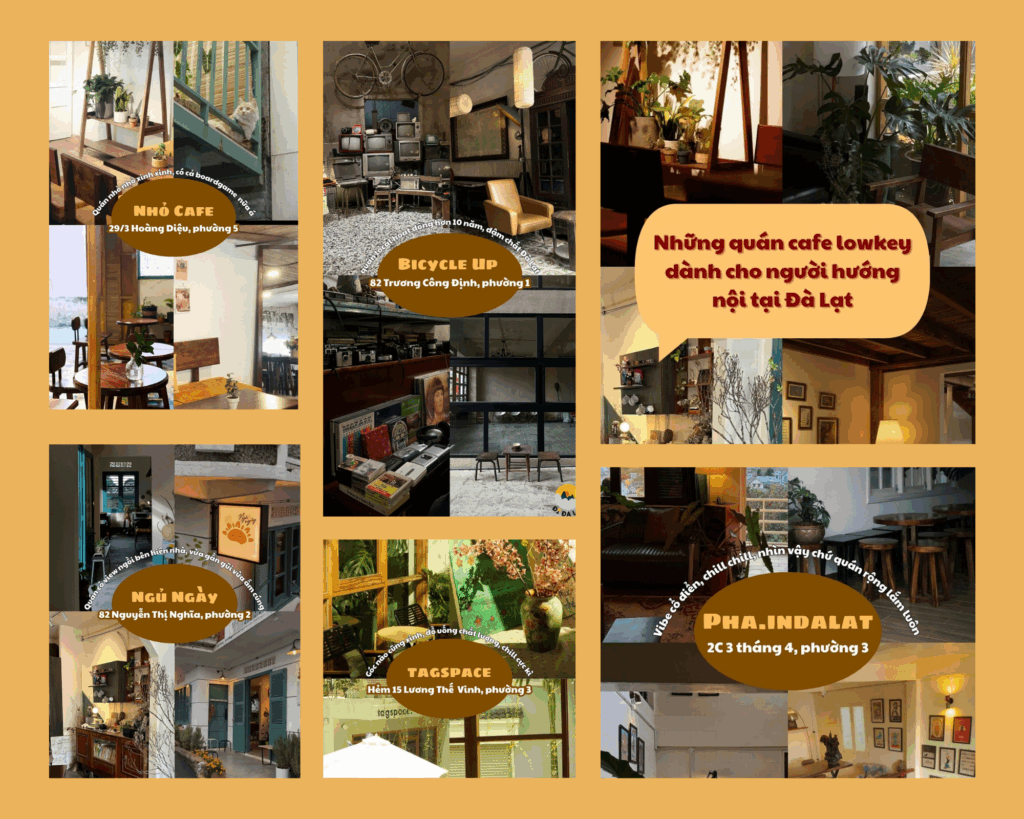 Top 7 quán cafe ít người biết dành cho người hướng nội ở Đà Lạt.
