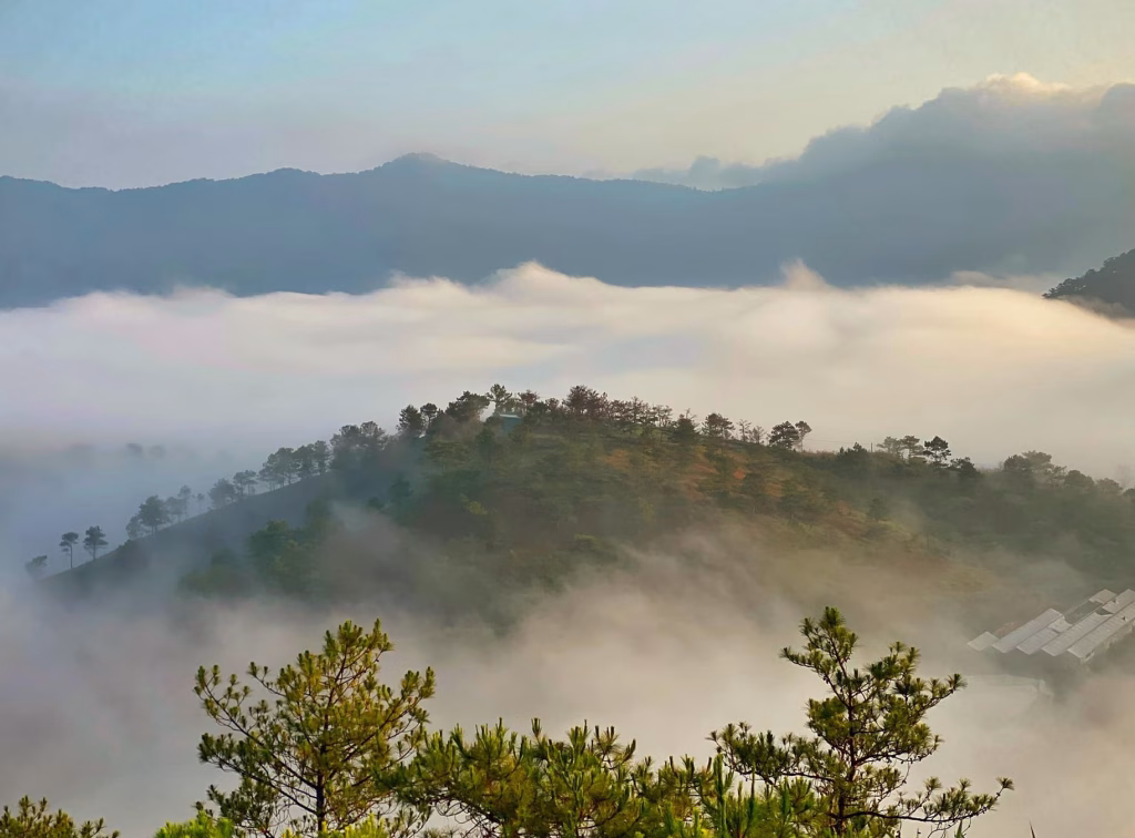 Săn Mây Đà Lạt