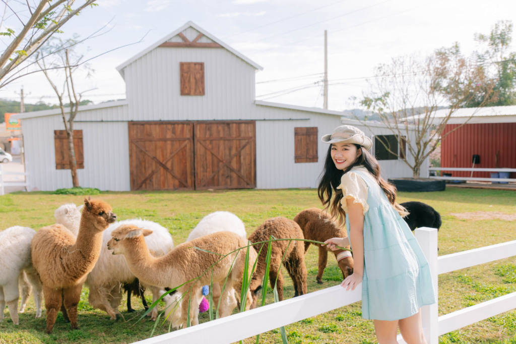 Du lịch Hè Đà Lạt thì đi đâu? 