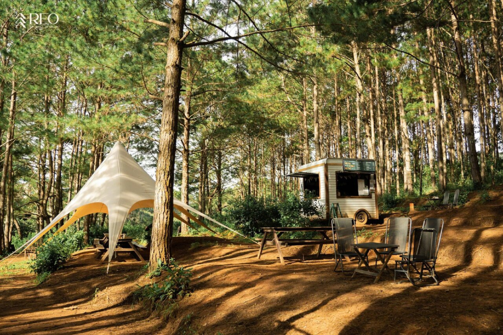 Du lịch Hè Đà Lạt thì đi đâu? 