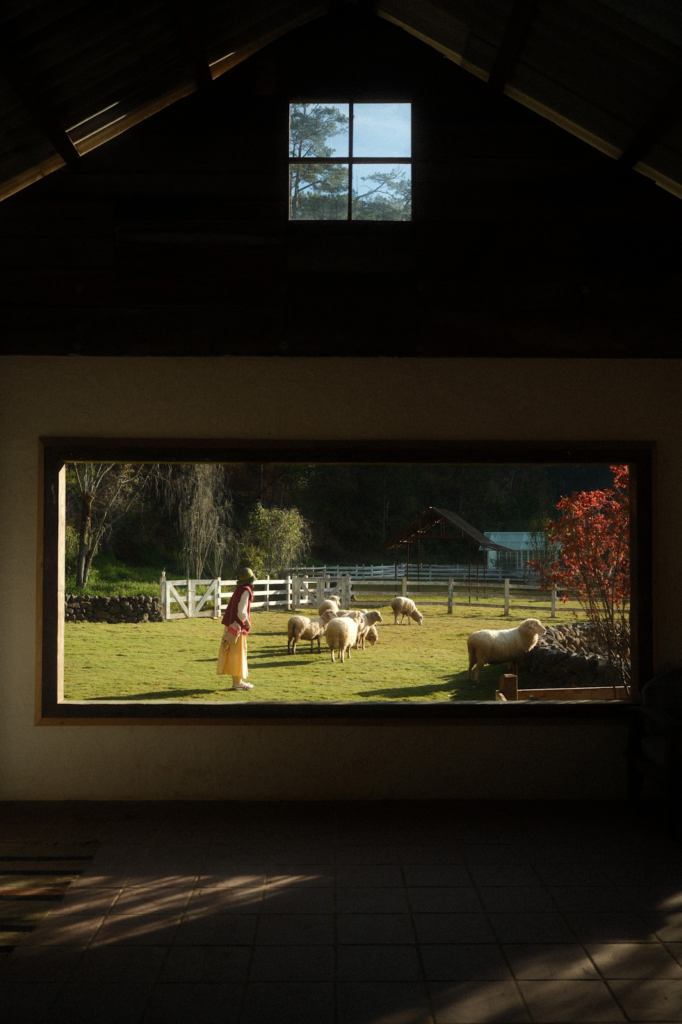 Quán cafe đẹp tại Đà Lạt