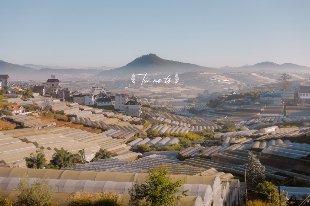 Quán cafe đẹp tại Đà Lạt