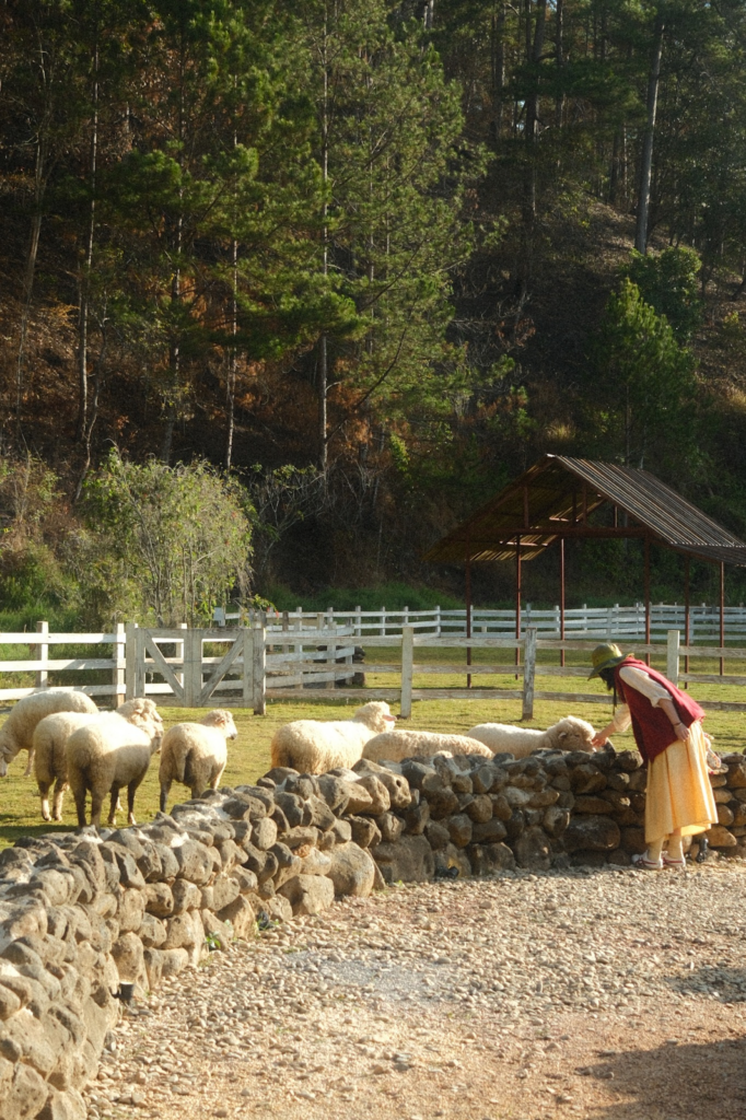 Quán cafe đẹp tại Đà Lạt