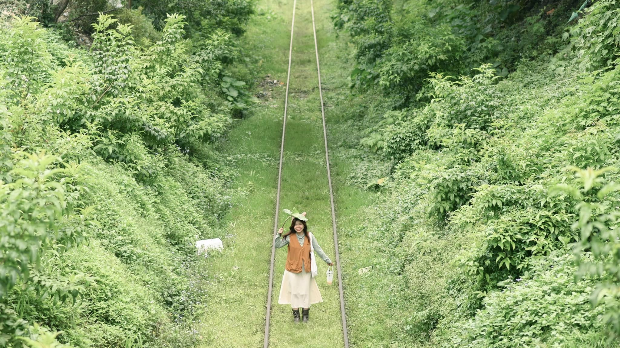 check-in đà lạt
địa điểm đà lạt
đường ray trần quý cáp
thiên nhiên đà lạt