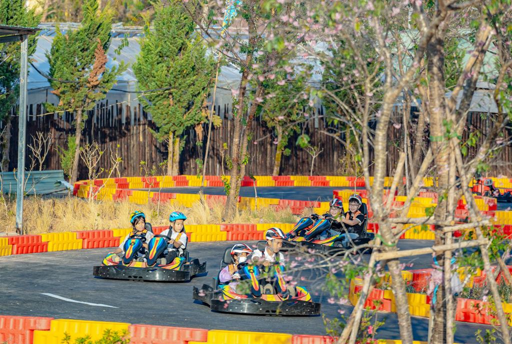 Du lịch Hè Đà Lạt thì đi đâu? 