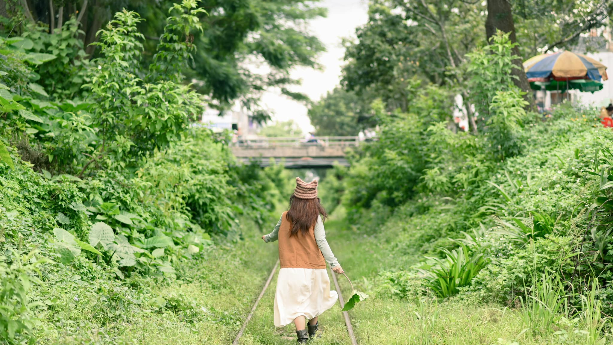 check-in đà lạt
địa điểm đà lạt
đường ray trần quý cáp
thiên nhiên đà lạt