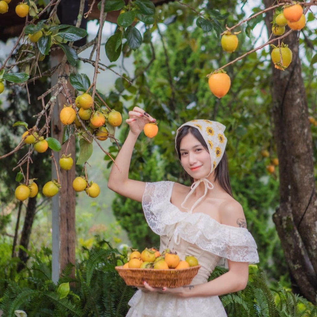 Tiệm Cà Phê Dốc Thị Đà Lạt