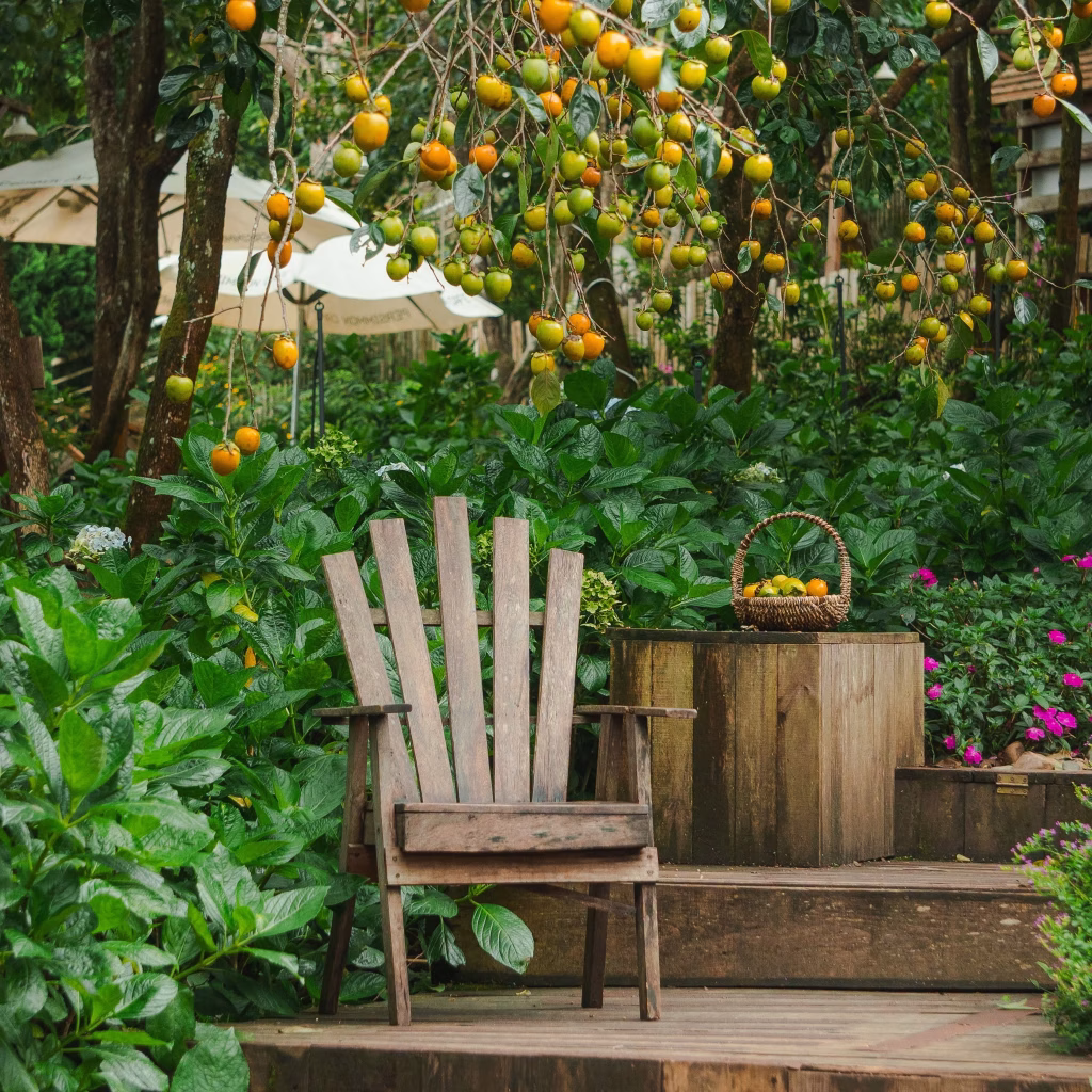 Persimmon Cafe Đà Lạt